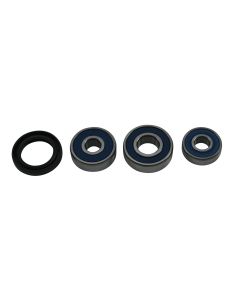 Pivot Works Rear Premium Wheel Bearing Kit 25-1793