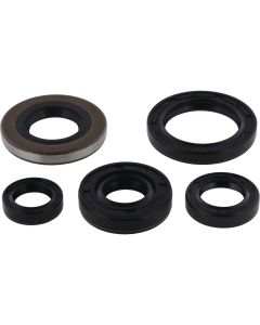 Vertex Oil Seal Kit 822139