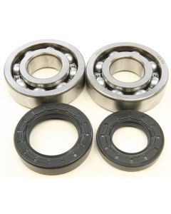 All Balls Crank Bearing And Seal Kit 24-1005