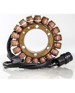 Ricks Stator 21-060