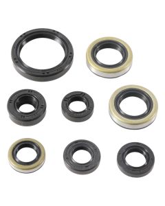 Vertex Oil Seal Kit 822485