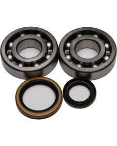 All Balls Crank Bearing And Seal Kit 24-1021