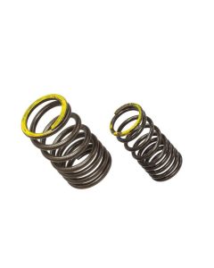 Exhaust Valve Spring XU-09563ES