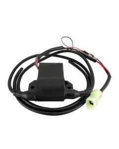 RMStator Ignition CDI Box RMS060-107950