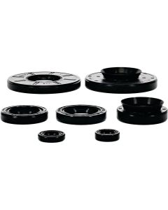 Vertex Oil Seal Kit 822396