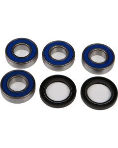 All Balls Rear Independent Suspension Rebuild Kit 50-1079