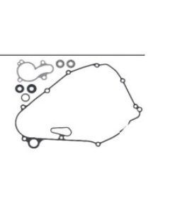 Psychic Water Pump Repair Kit MX-10264