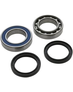 All Balls Racing Lower Drive Shaft Kit Track 14-1081