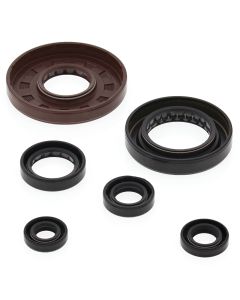 Vertex Oil Seal Kit 822276