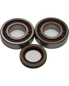All Balls Crank Bearing And Seal Kit 24-1106