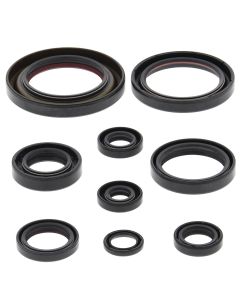 Vertex Oil Seal Kit 822312