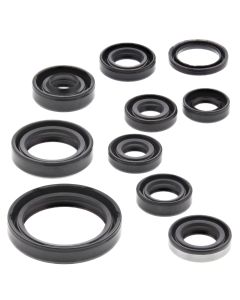 Vertex Oil Seal Kit 822319