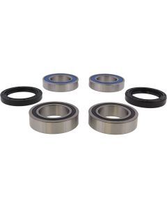 All Balls Racing Rear Wheel Bearing Kit 25-1019