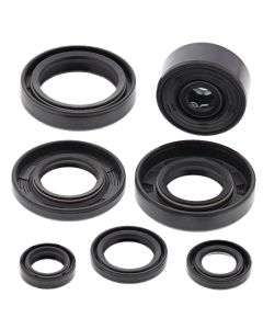 Vertex Oil Seal Kit 822113