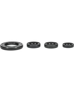 Vertex Oil Seal Kit 822395