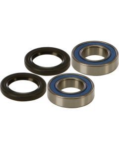 All Balls Front Wheel Bearing Kit 25-1273