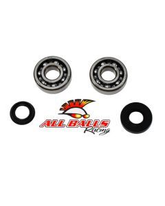 All Balls Racing Inc Crank Shaft Bearing & Seal Kit 24-1095