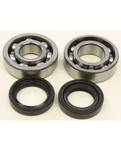 All Balls Crank Bearing And Seal Kit 24-1073
