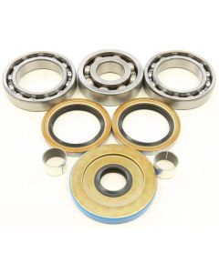 All Balls Rear Differential Bearing And Seal Kit 25-2096