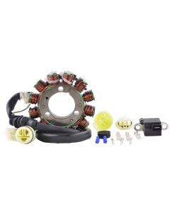 RMStator 12-Pole Stator RM01289