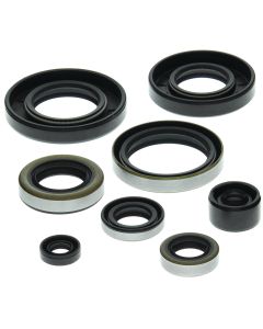 Vertex Oil Seal Kit 822159