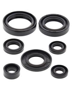 Vertex Oil Seal Kit 822197