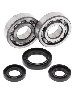 All Balls Racing Crank Shaft Bearing Kit 24-1028