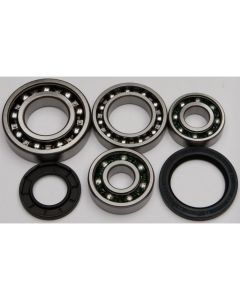 All Balls Rear Differential Bearing And Seal Kit 25-2017