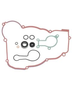 Psychic Water Pump Repair Kit MX-10269