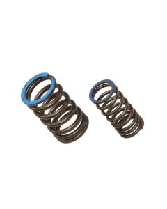 Intake Valve Spring XU-09563IS