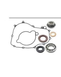 Psychic Water Pump Repair Kit MX-10259