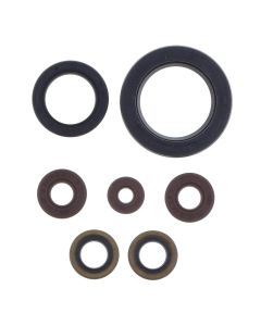 Athena Engine Oil Seal Kit P400462400002