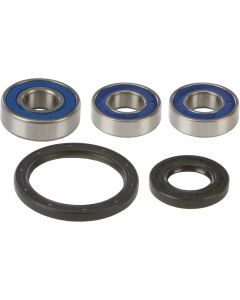 NEW ALL BALLS WHEEL BEARING AND SEAL KIT 25-1098