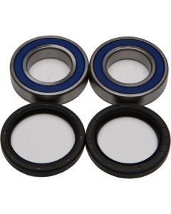 ALL BALLS 25-1032 Wheel Bearing and Seal Kit