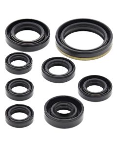 Vertex Oil Seal Kit 822175