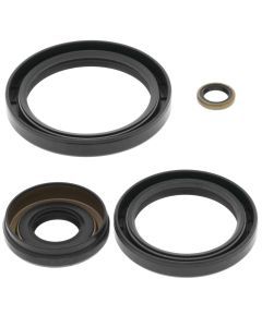 QuadBoss Differential Seal Kit Front - 532520665