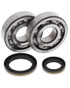 All Balls Racing Crank Shaft Bearing Kit 24-1021