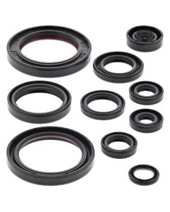 Vertex Oil Seal Kit 822330