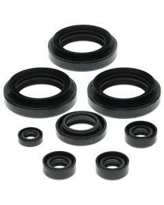 Vertex Oil Seal Kit 822151