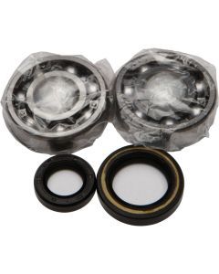 All Balls Crank Bearing And Seal Kit 24-1003