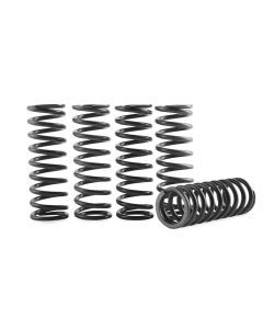 Hinson Clutch Spring Kit High Temp - CS294-5-0109