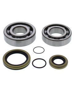 All Balls Crank Bearing & Seal Kit 24-1118