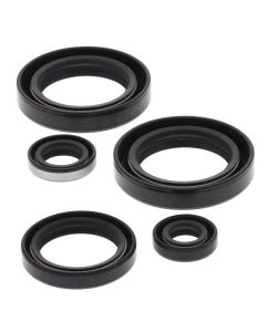 Vertex Oil Seal Kit 822244