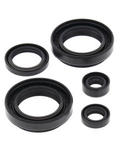 Vertex Oil Seal Kit 822234