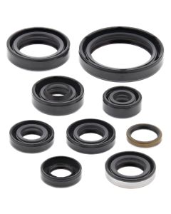 Vertex Oil Seal Kit 822336