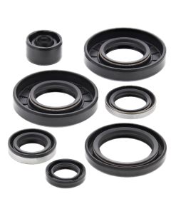 Vertex Oil Seal Kit 822291