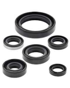 Vertex Oil Seal Kit 822137