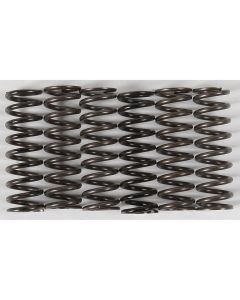 Hinson Clutch Spring Kit Yellow High Temp - CS216-6-0315
