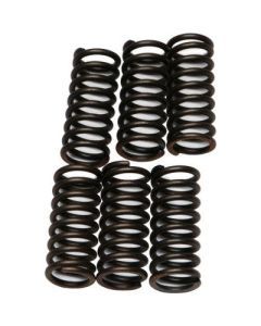 EBC Clutch Plates CSK Spring Kit for Triumph Sprint ST (1050cc) 05-09