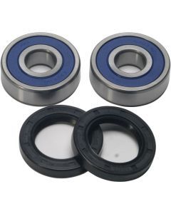 All Balls Racing Inc Wheel Bearing And Seal Kit 25-1662